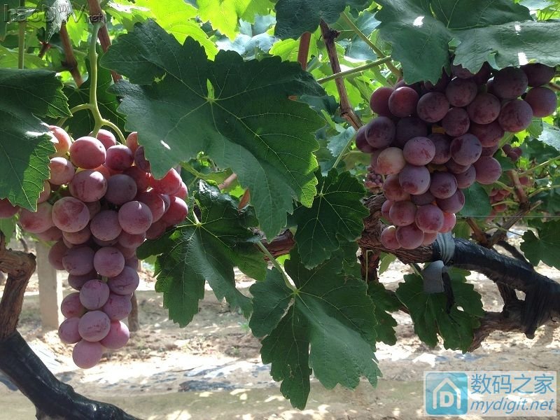 ¥¥¥֮ǰ̳Ѹ180׳ݵ㺸ⲻ