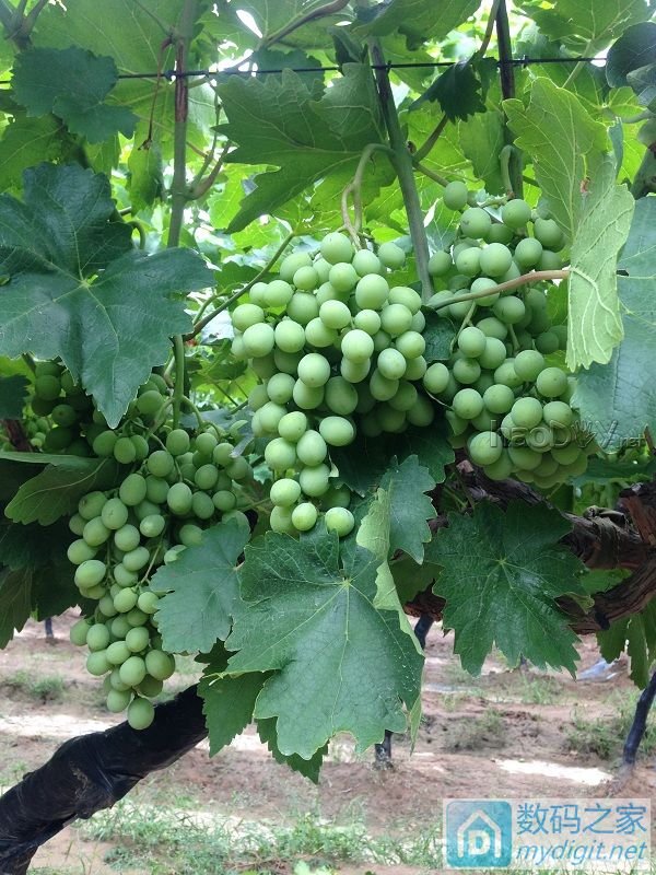 ¥¥¥֮ǰ̳Ѹ180׳ݵ㺸ⲻ