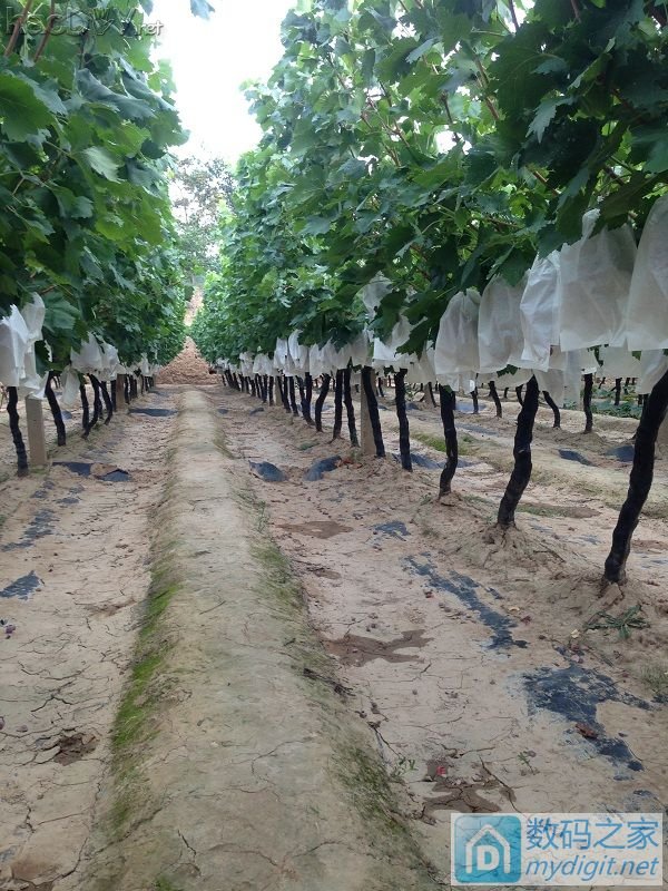 ¥¥¥֮ǰ̳Ѹ180׳ݵ㺸ⲻ