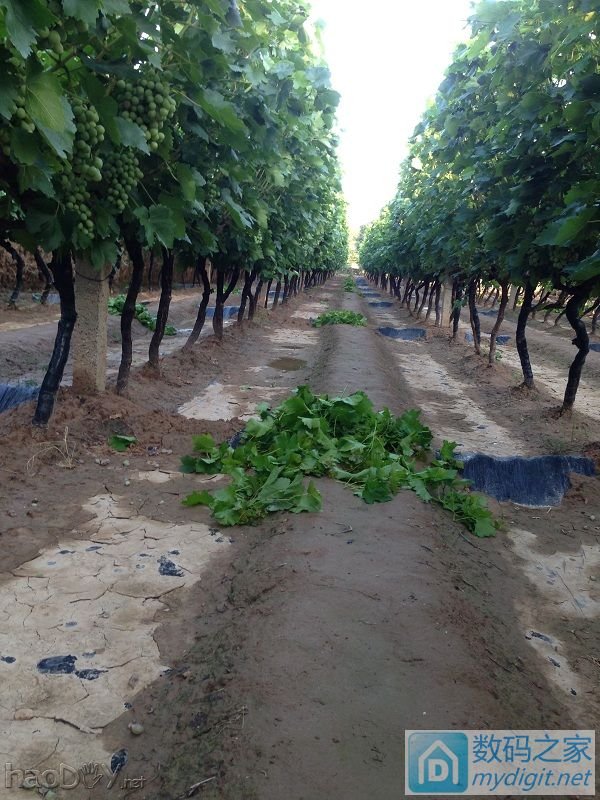 ¥¥¥֮ǰ̳Ѹ180׳ݵ㺸ⲻ