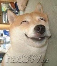 焊得想死 电动车改锂电(1)