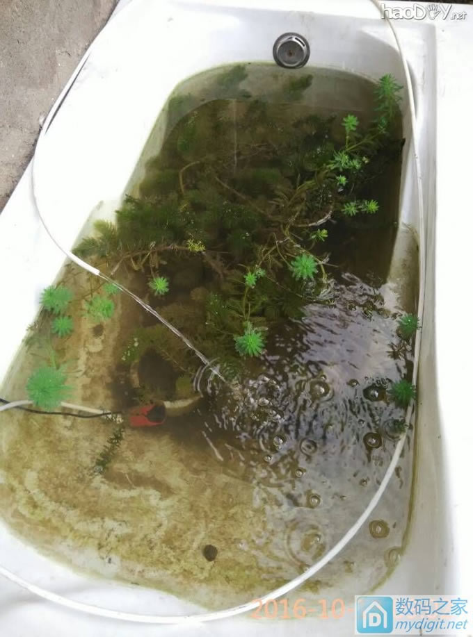 鱼池循环水泵,太阳能驱动,功率可调 鱼池循环水泵,太阳能驱动,功率可调