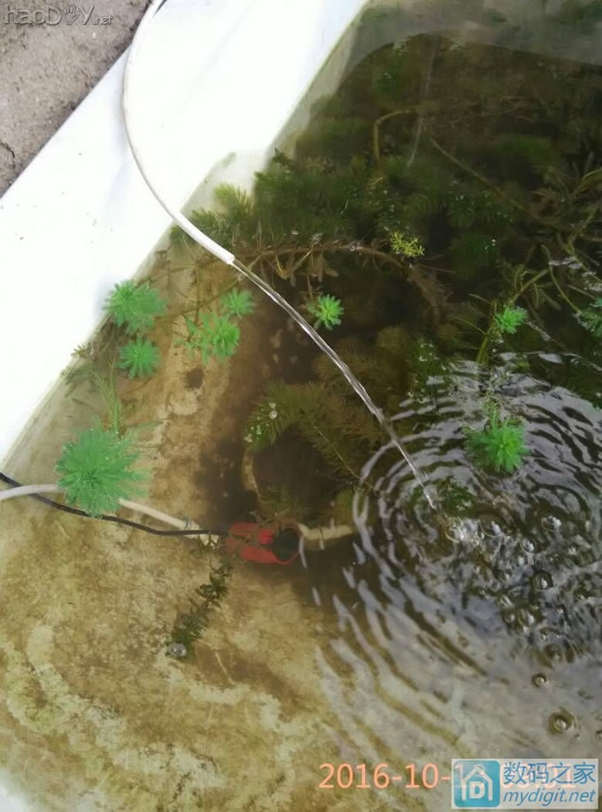 鱼池循环水泵,太阳能驱动,功率可调 鱼池循环水泵,太阳能驱动,功率可调