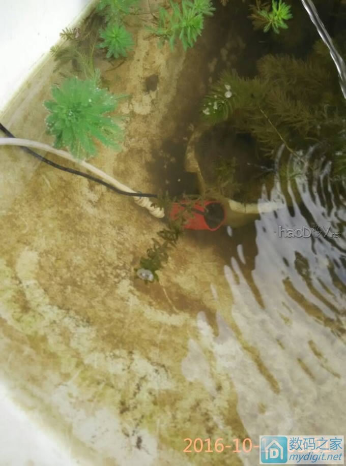 鱼池循环水泵,太阳能驱动,功率可调 鱼池循环水泵,太阳能驱动,功率可调