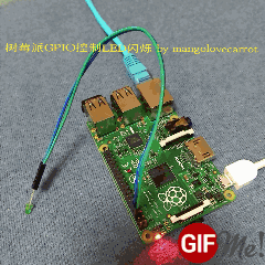 使用GPIO接口控制发光二极管闪烁