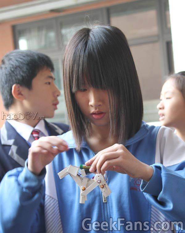 14_131211_2.jpg PVCBOT【14号C版】机械狗