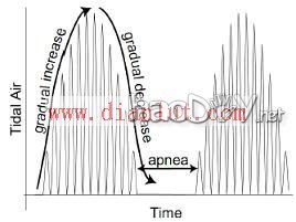 小白也做呼吸灯
