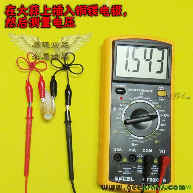 铜锌/铜镁 自制生物电池效能大比拼 土豆电池