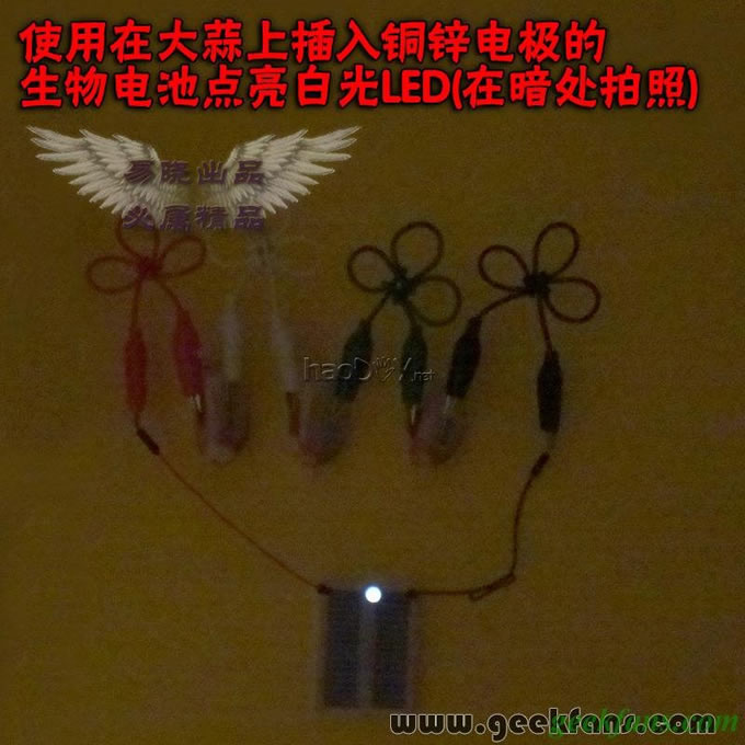 铜锌/铜镁 自制生物电池效能大比拼 土豆电池