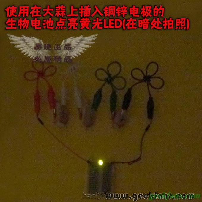 铜锌/铜镁 自制生物电池效能大比拼 土豆电池