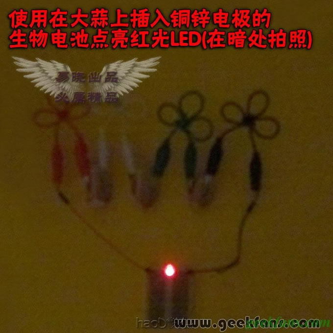 铜锌/铜镁 自制生物电池效能大比拼 土豆电池