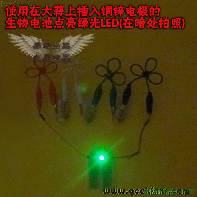 铜锌/铜镁 自制生物电池效能大比拼 土豆电池