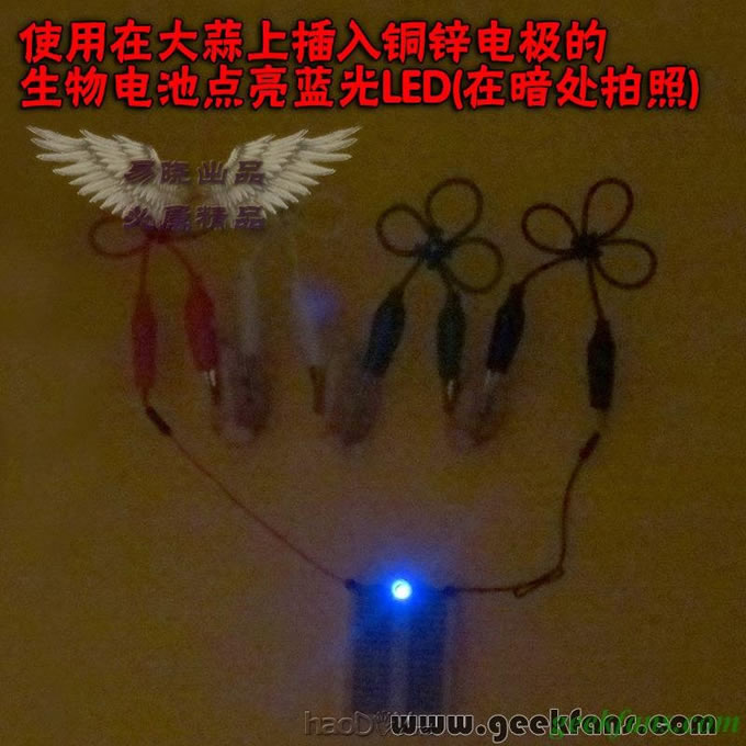 铜锌/铜镁 自制生物电池效能大比拼 土豆电池