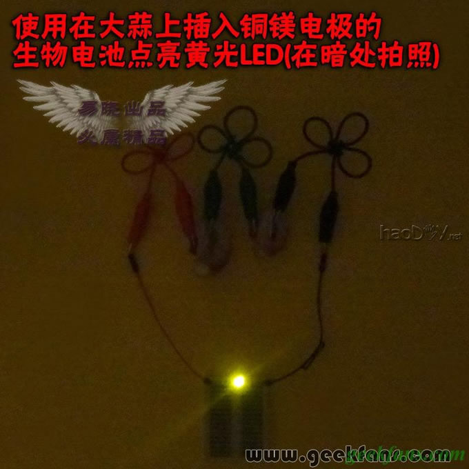 铜锌/铜镁 自制生物电池效能大比拼 土豆电池