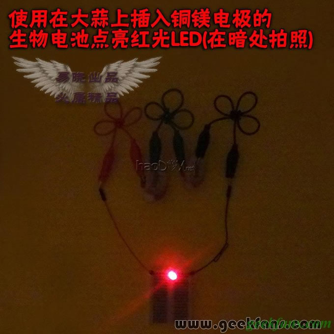 铜锌/铜镁 自制生物电池效能大比拼 土豆电池