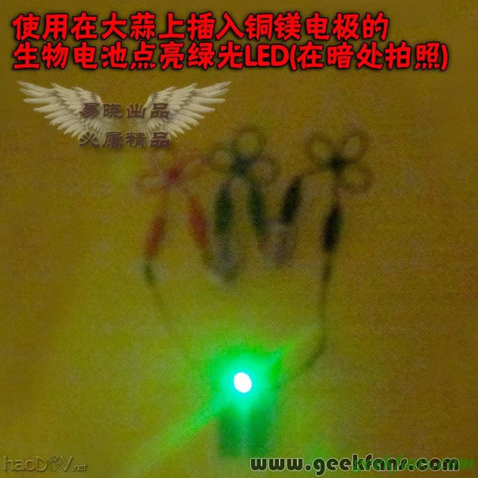 铜锌/铜镁 自制生物电池效能大比拼 土豆电池