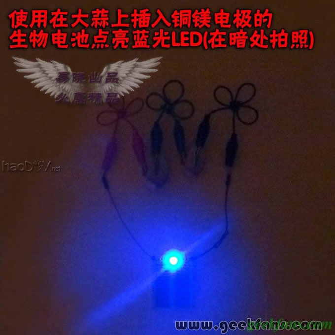 铜锌/铜镁 自制生物电池效能大比拼 土豆电池