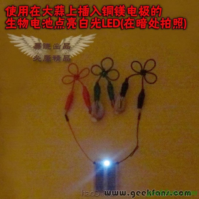 铜锌/铜镁 自制生物电池效能大比拼 土豆电池