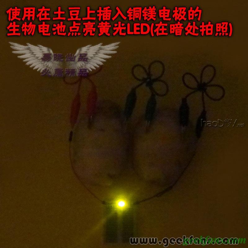 铜锌/铜镁 自制生物电池效能大比拼 土豆电池