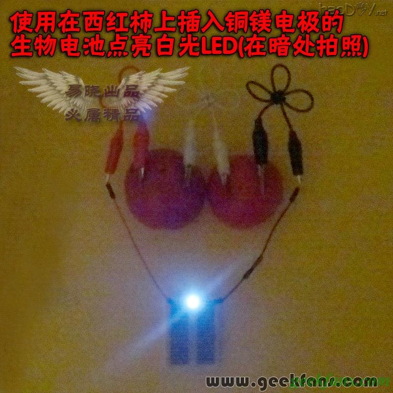 铜锌/铜镁 自制生物电池效能大比拼 土豆电池