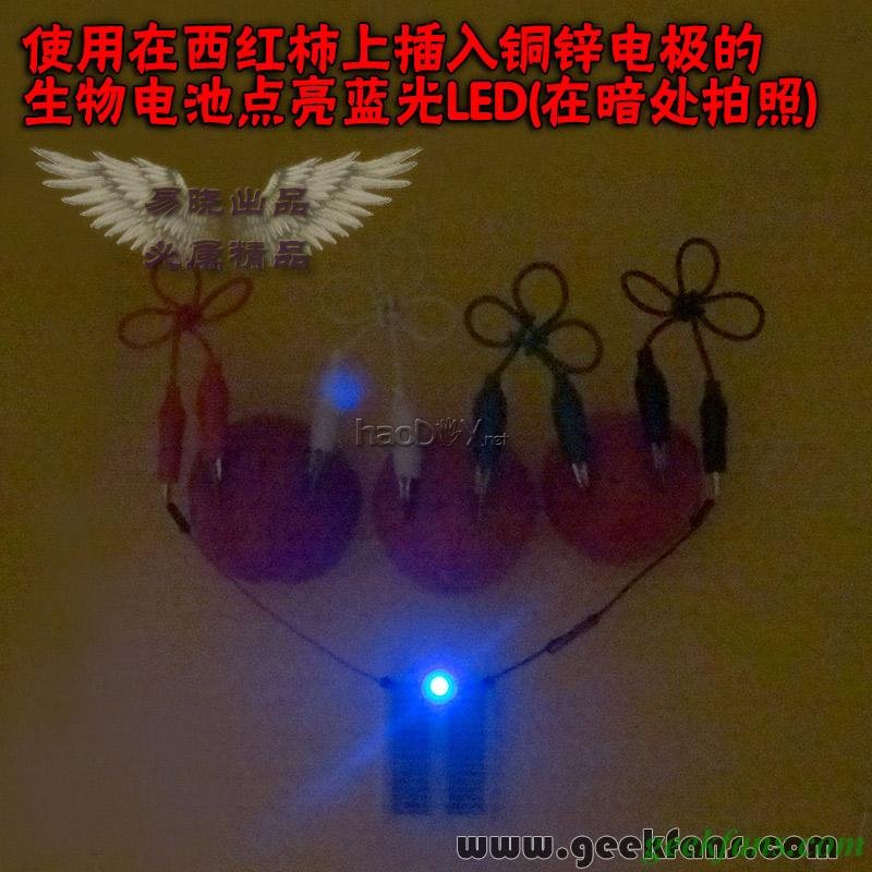 铜锌/铜镁 自制生物电池效能大比拼 土豆电池