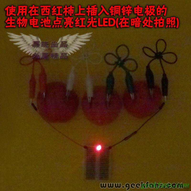 铜锌/铜镁 自制生物电池效能大比拼 土豆电池