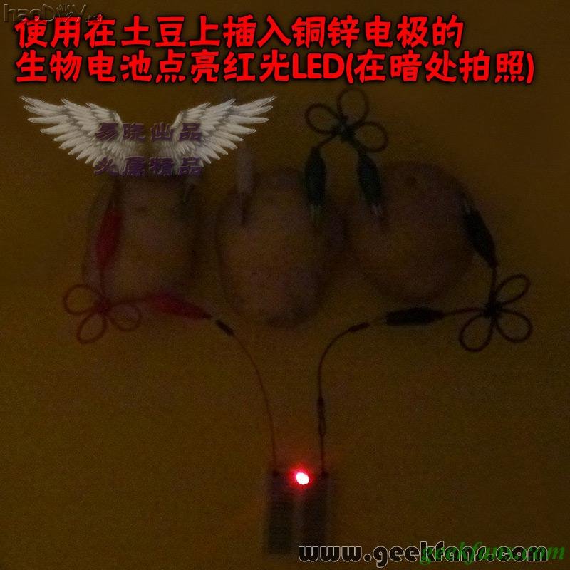 铜锌/铜镁 自制生物电池效能大比拼 土豆电池