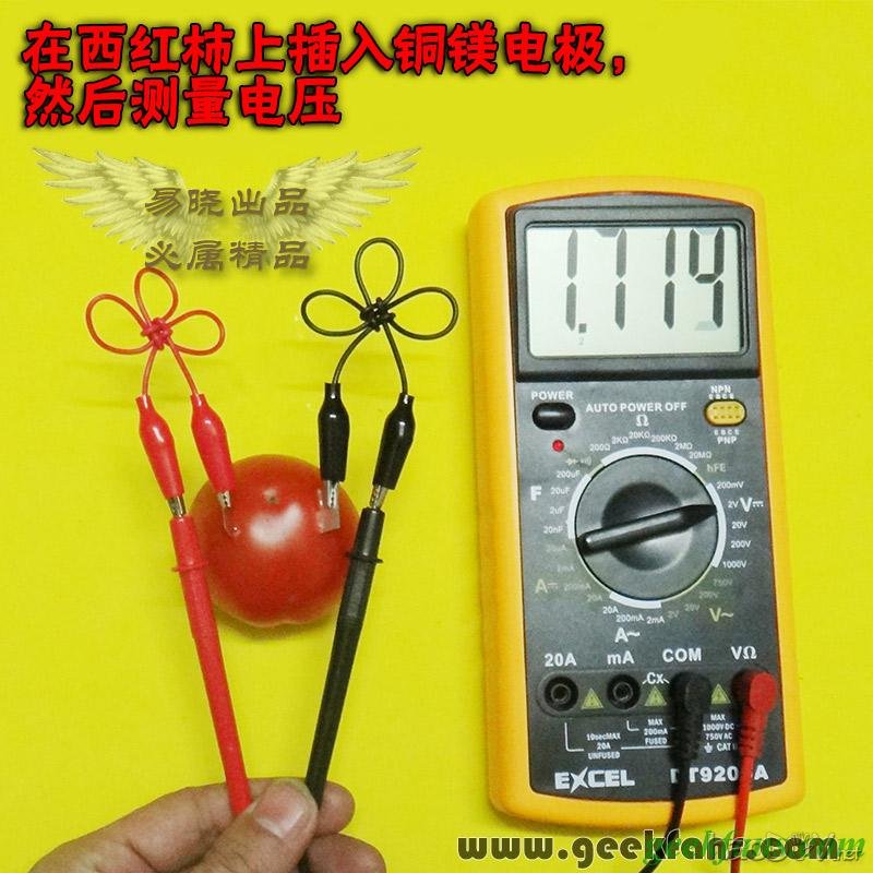 铜锌/铜镁 自制生物电池效能大比拼 土豆电池