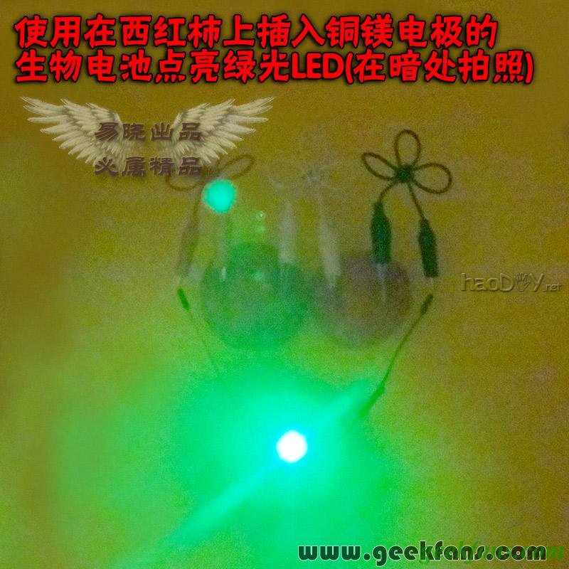 铜锌/铜镁 自制生物电池效能大比拼 土豆电池