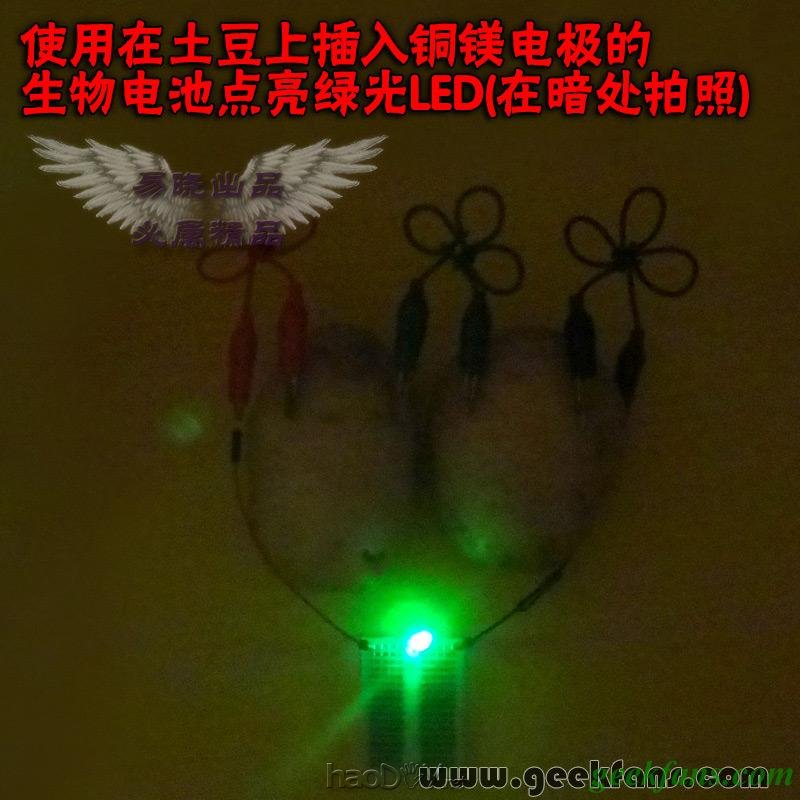 铜锌/铜镁 自制生物电池效能大比拼 土豆电池