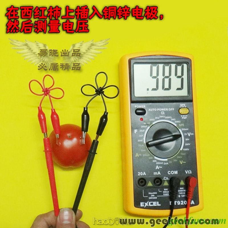 铜锌/铜镁 自制生物电池效能大比拼 土豆电池