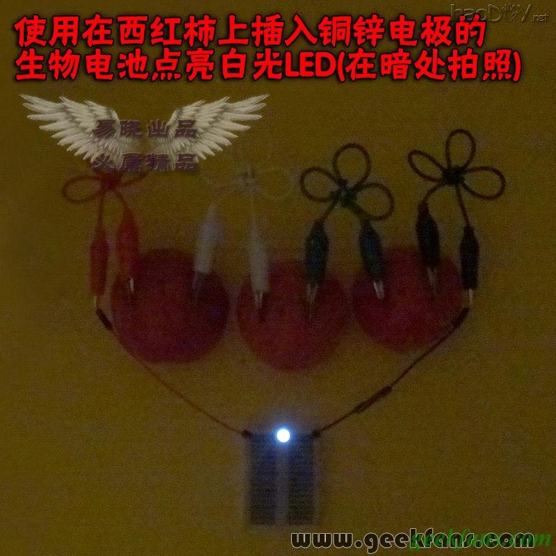 铜锌/铜镁 自制生物电池效能大比拼 土豆电池