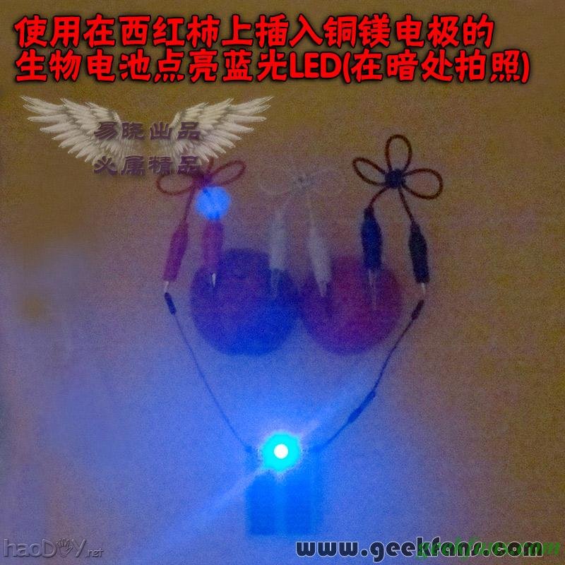 铜锌/铜镁 自制生物电池效能大比拼 土豆电池