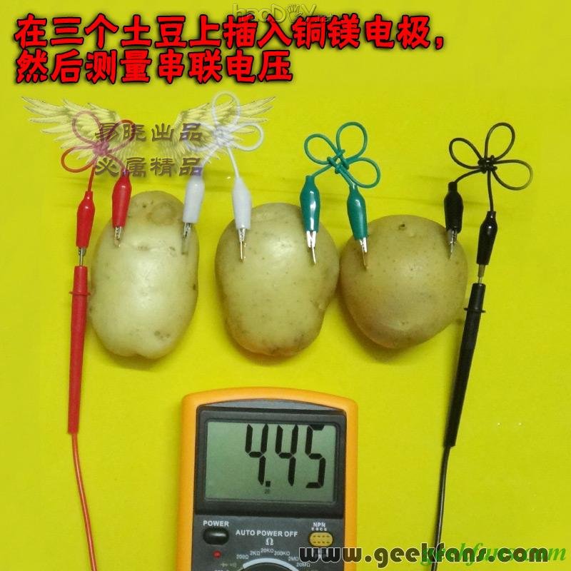 铜锌/铜镁 自制生物电池效能大比拼 土豆电池