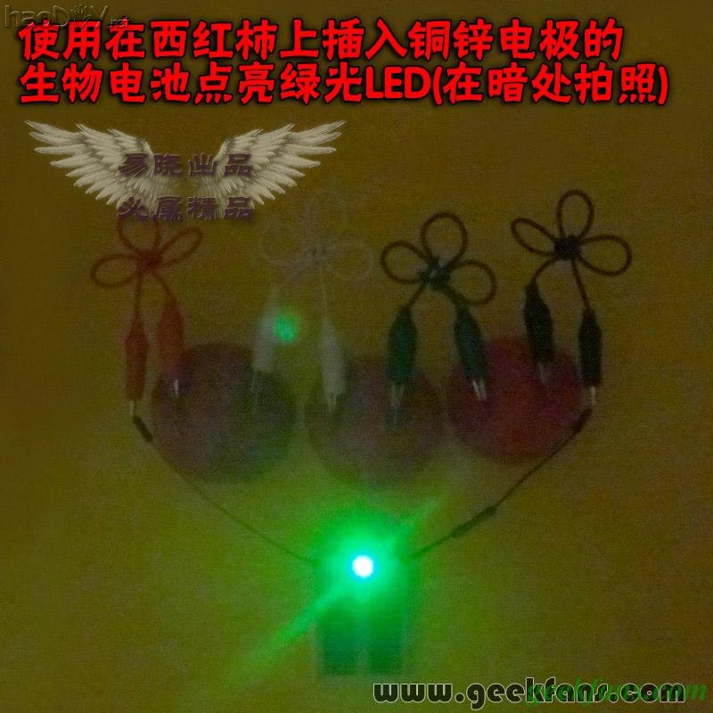 铜锌/铜镁 自制生物电池效能大比拼 土豆电池