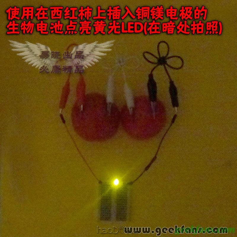 铜锌/铜镁 自制生物电池效能大比拼 土豆电池