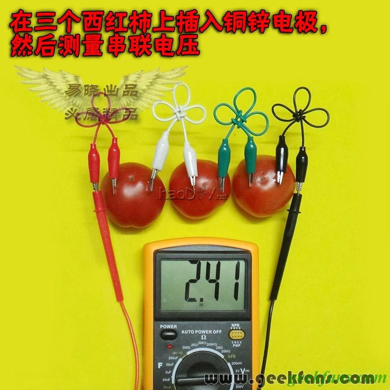 铜锌/铜镁 自制生物电池效能大比拼 土豆电池