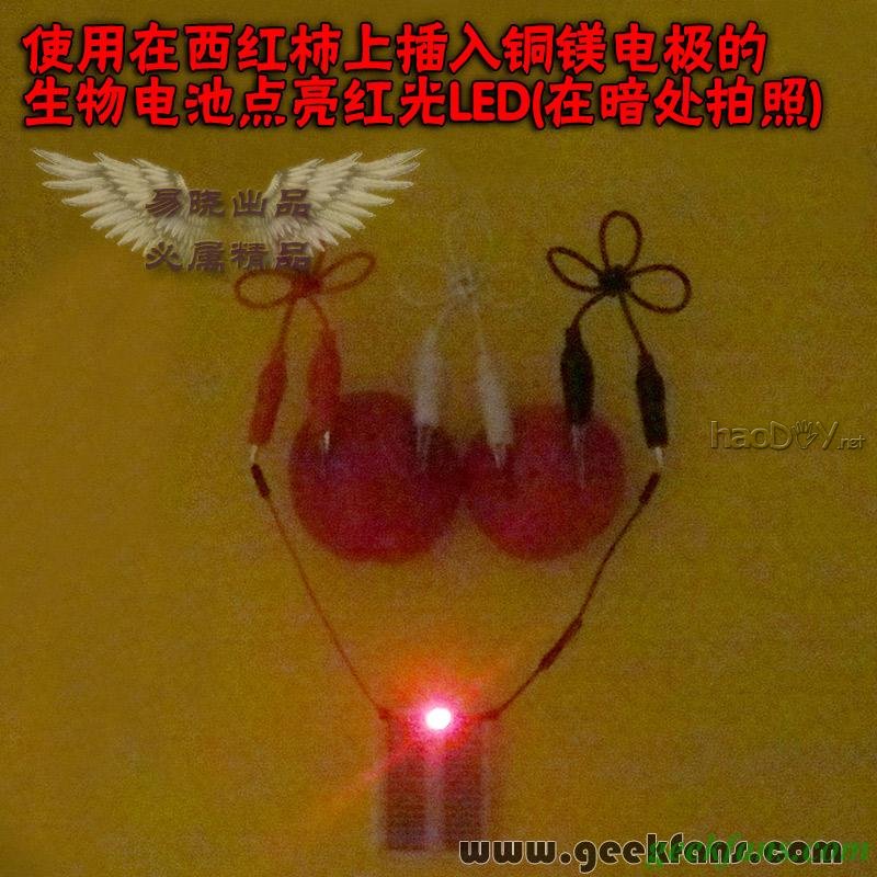 铜锌/铜镁 自制生物电池效能大比拼 土豆电池