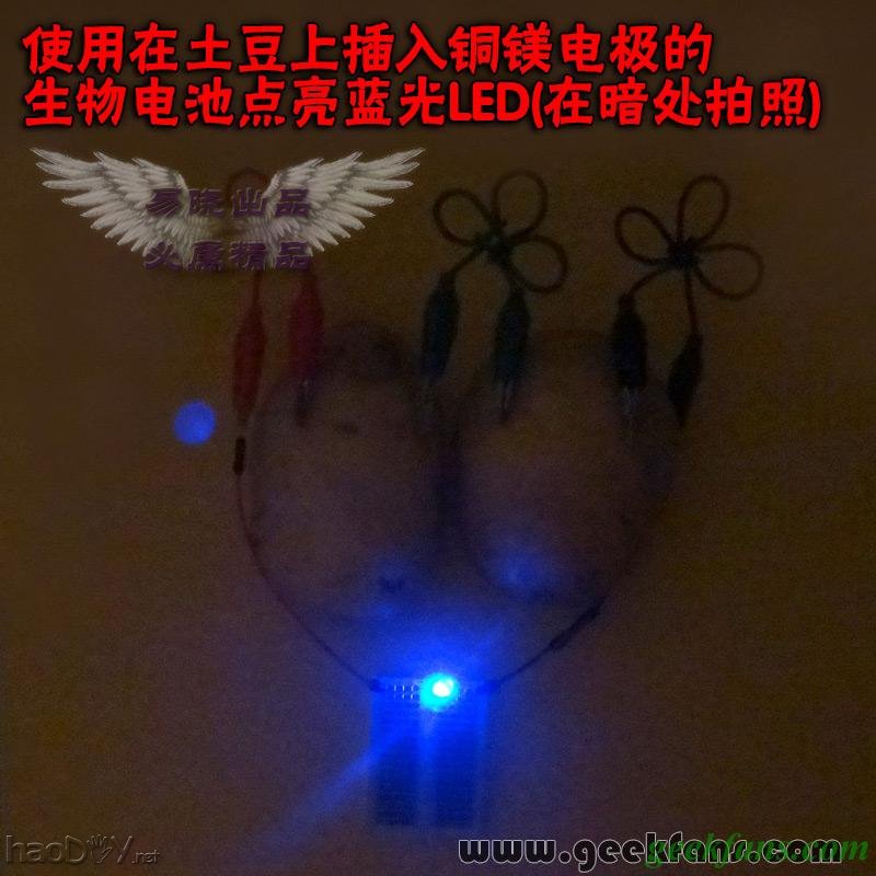 铜锌/铜镁 自制生物电池效能大比拼 土豆电池