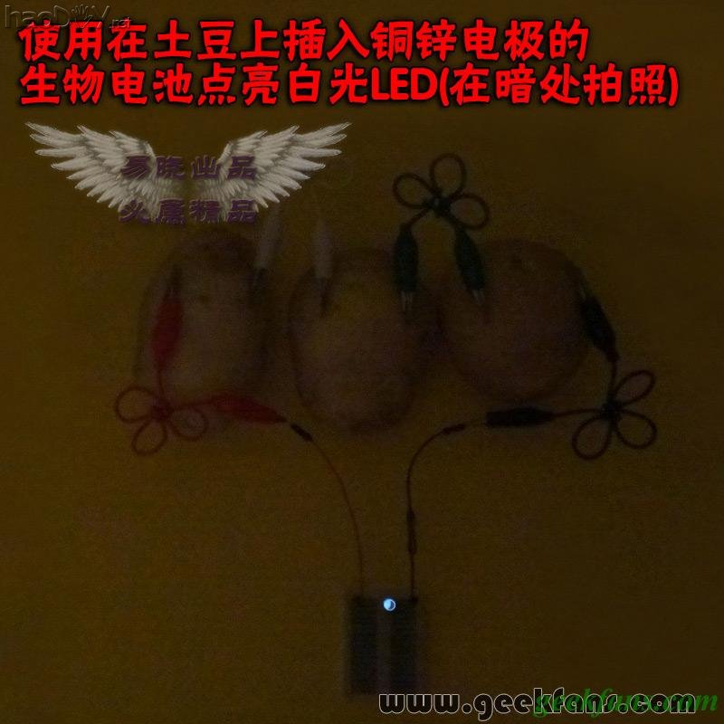 铜锌/铜镁 自制生物电池效能大比拼 土豆电池