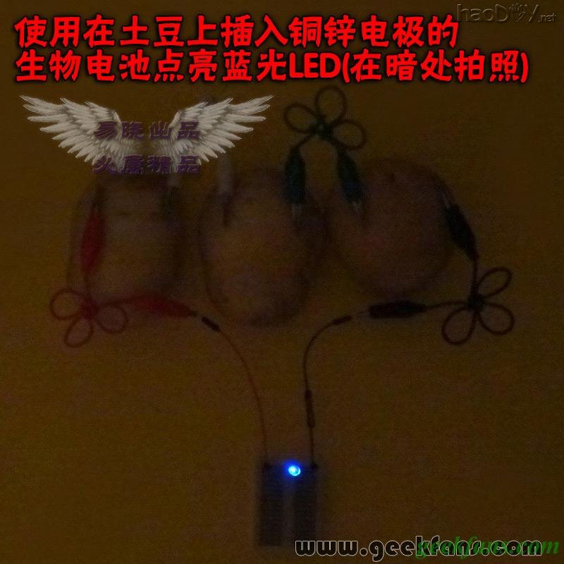 铜锌/铜镁 自制生物电池效能大比拼 土豆电池