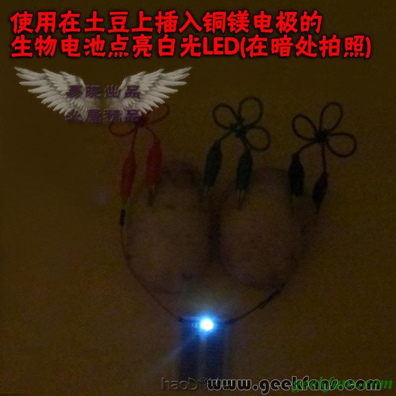 铜锌/铜镁 自制生物电池效能大比拼 土豆电池