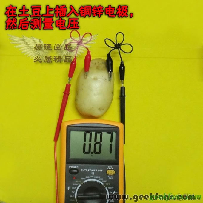 铜锌/铜镁 自制生物电池效能大比拼 土豆电池