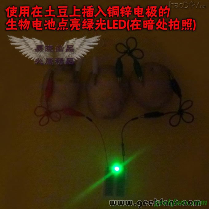 铜锌/铜镁 自制生物电池效能大比拼 土豆电池