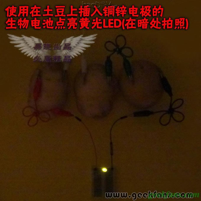 铜锌/铜镁 自制生物电池效能大比拼 土豆电池