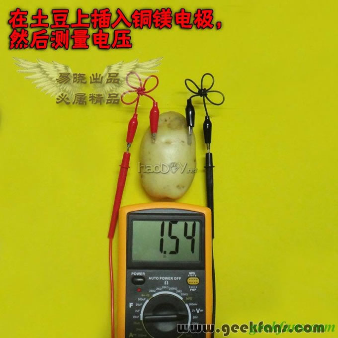 铜锌/铜镁 自制生物电池效能大比拼 土豆电池