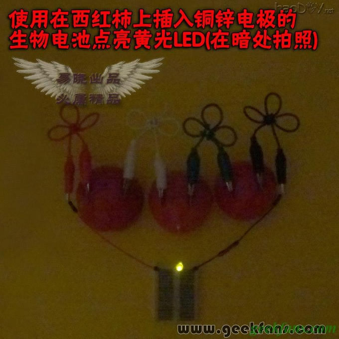 铜锌/铜镁 自制生物电池效能大比拼 土豆电池