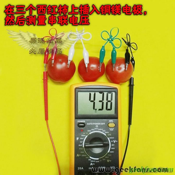 铜锌/铜镁 自制生物电池效能大比拼 土豆电池