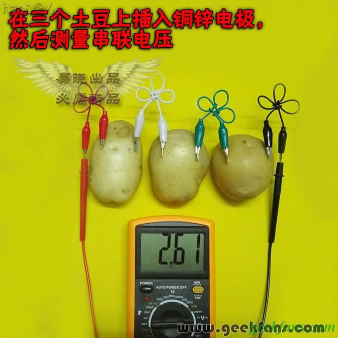 铜锌/铜镁 自制生物电池效能大比拼 土豆电池
