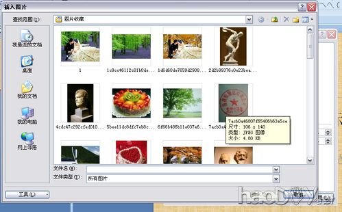 教你把自己喜欢的图片设置为PPT背景